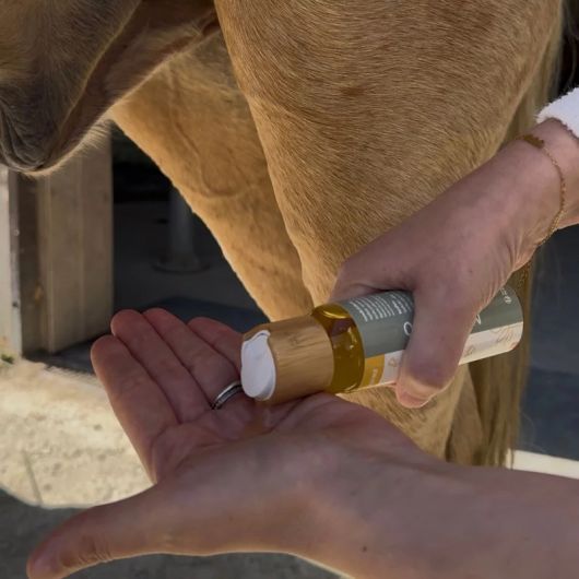 Sérum Protection Estivale anti-mouche cheval zones sensibles - Nellumbo