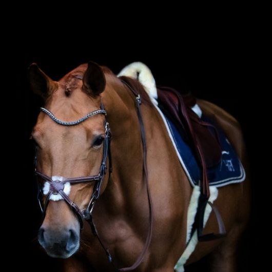 Frontal bridon cheval V Shape Strass - HFI