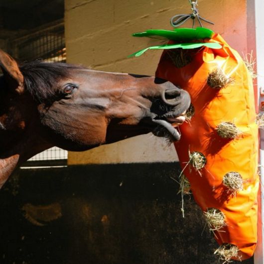 Sac à foin cheval forme carotte