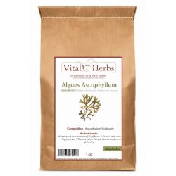Algues marine - Bien-être général cheval 1kg - Vital Herbs