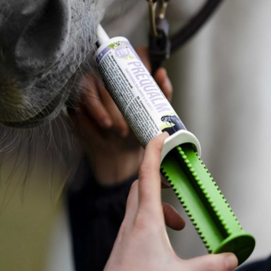 Seringue anti-stress cheval Prequalm 100g - Unika