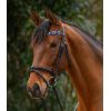 Frontal bridon cheval X-line Polo - Waldhausen