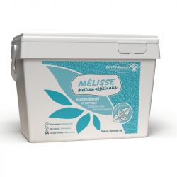 Mélisse - Digestion et stress cheval - Phtyo Master