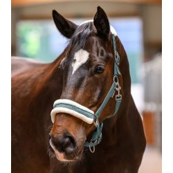 Licol cheval fourrure et strass Elegant - Waldhausen