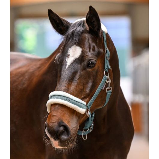 Licol cheval fourrure et strass Elegant - Waldhausen