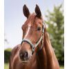 Licol cheval nylon doublé Satin - Waldhausen