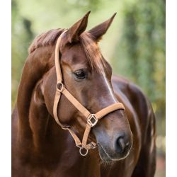 Licol cheval nylon doublé Satin - Waldhausen