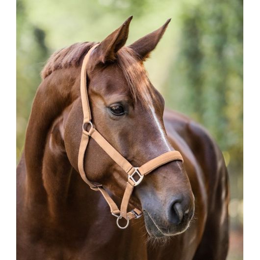 Licol cheval nylon doublé Satin - Waldhausen
