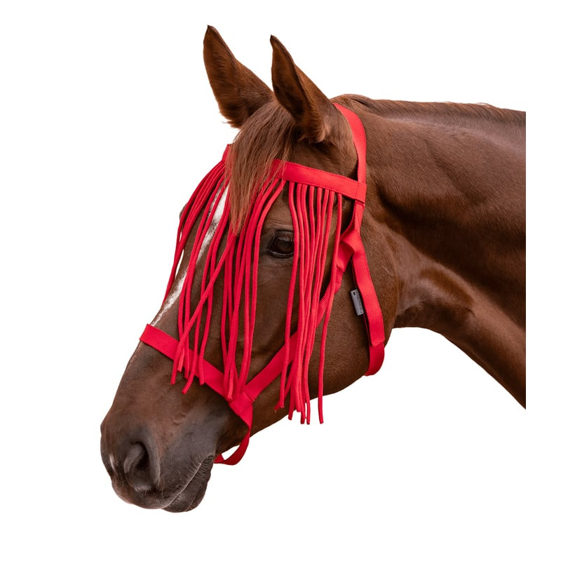 Gros plan sur un cheval bai portant un licol de pâturage Waldhausen rouge anti-mouches avec franges 
