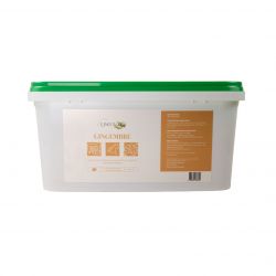 Gingembre en poudre - Digestion cheval - Ungula Naturalis