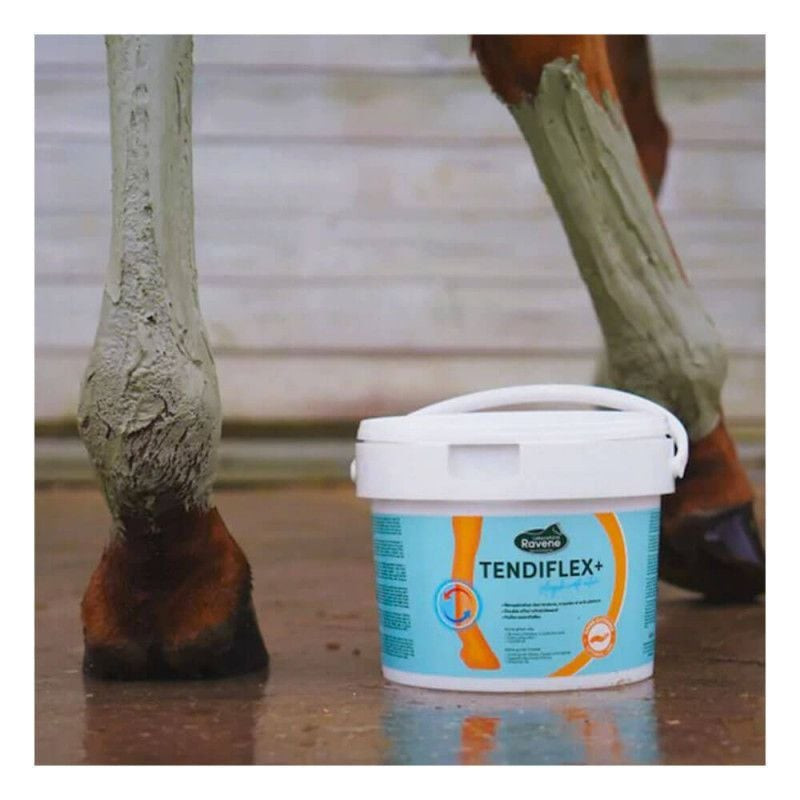 Tendiflex +  Argile cheval rafraîchissante - Ravene