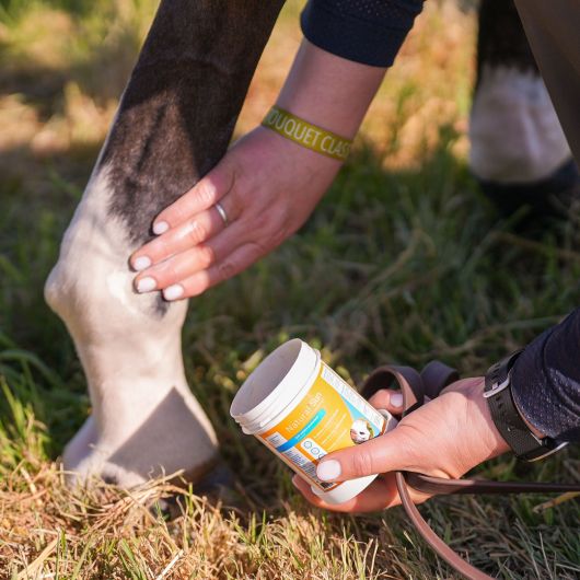 Crème solaire cheval Natural Sun - Natural Innov