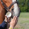 Crème solaire cheval Natural Sun - Natural Innov