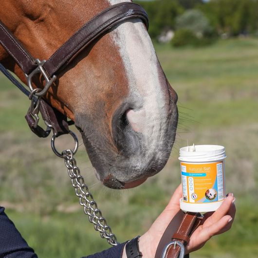 Crème solaire cheval Natural Sun - Natural Innov