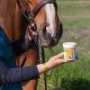 Crème solaire cheval Natural Sun - Natural Innov