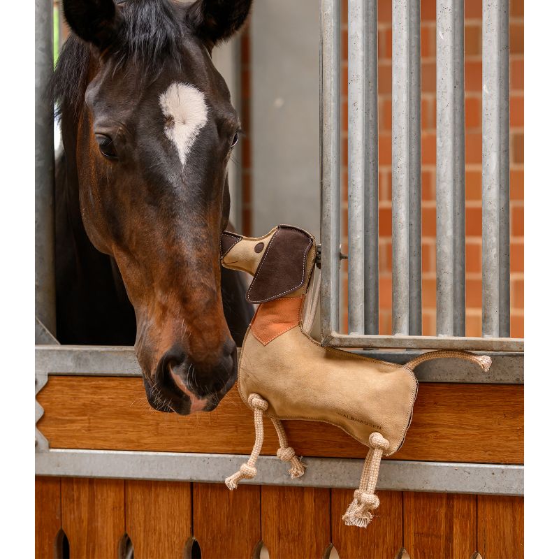 Jouet de box cheval Dieter chien Teckel - Waldhausen