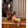 Jouet de box cheval Dieter chien Teckel - Waldhausen