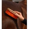 Bouchon de nettoyage cheval - Waldhausen