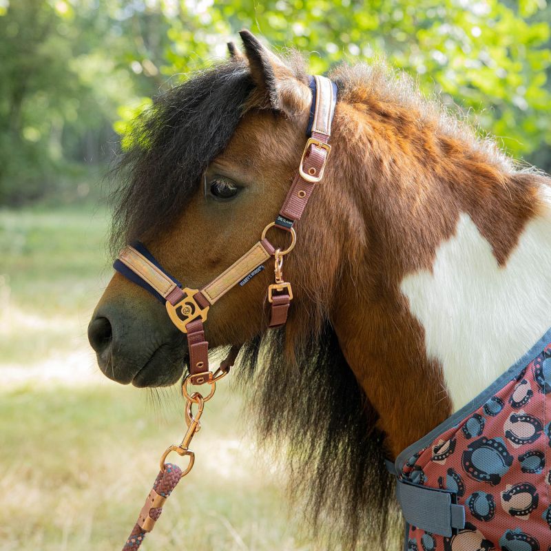 Licol et longe shetland Diva - Harry's Horse