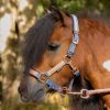 Licol et longe shetland Diva - Harry's Horse