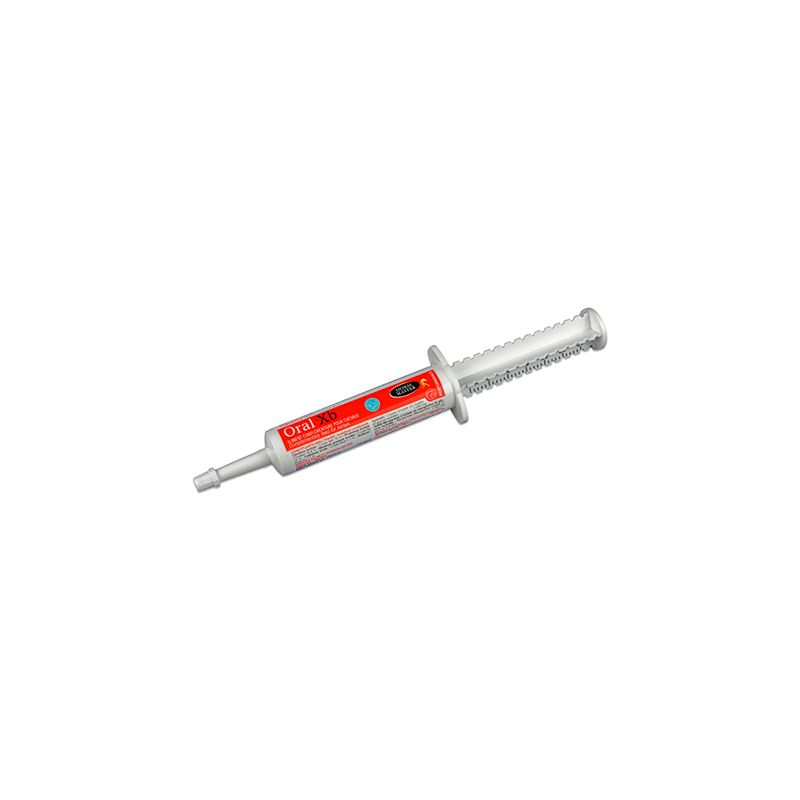 Oral-XB gel boost seringue orale Date courte -Horse Master