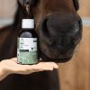 Respi'Plus - Soutien respiratoire cheval - Ekinat