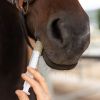 Respi'Plus - Soutien respiratoire cheval - Ekinat