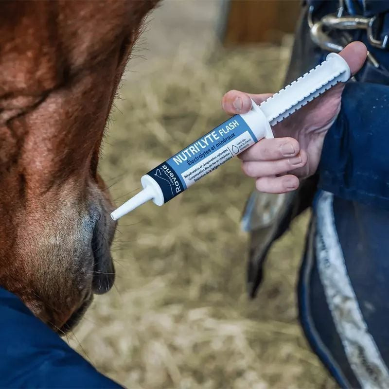 Electrolytes cheval Nutri' Lyte Flash - Ravene
