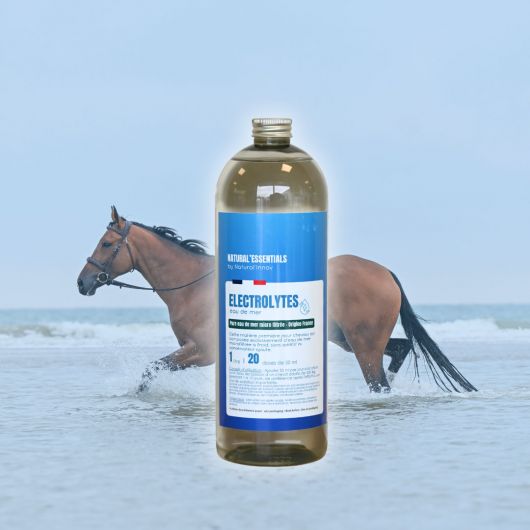 Electrolytes cheval eau de mer - Natural Innov