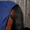 Chemise rafraichissante cheval avec couvre-cou Cool & Dry