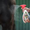 Spray anti-mouche cheval Tam Tam Vet - Leovet