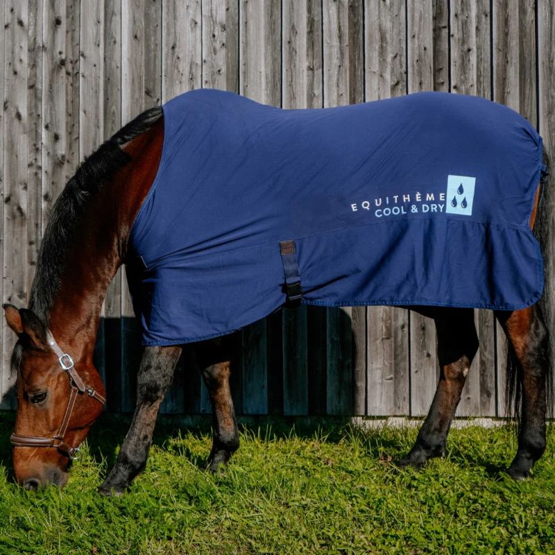 Chemise rafraichissante cheval Cool & Dry