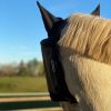 Masque anti-mouche anti-uv cheval Premium - Equidiva