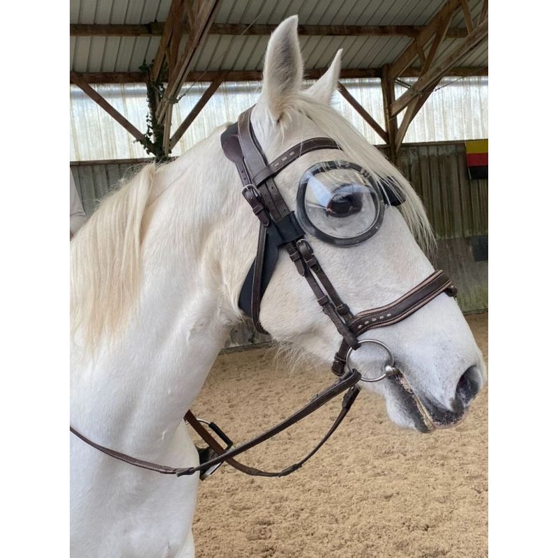 Lunettes anti-uv cheval transparentes Equigoogs - Equidiva