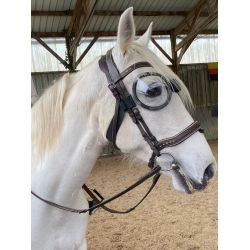 Lunettes anti-uv cheval transparentes Equigoogs - Equidiva