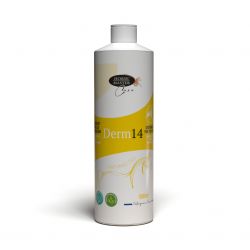 Derm 14 - Crème dermite cheval - Horse Master