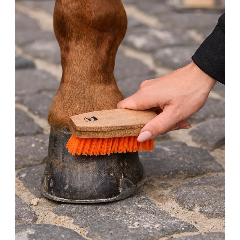 Brosse à sabot cheval - Waldhausen