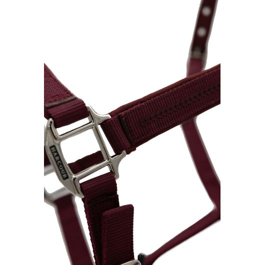 Set licol + longe Cinsy - Harcour