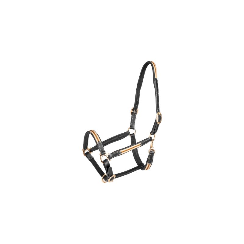 Licol cuir cheval X-Line Oxford - Waldhausen