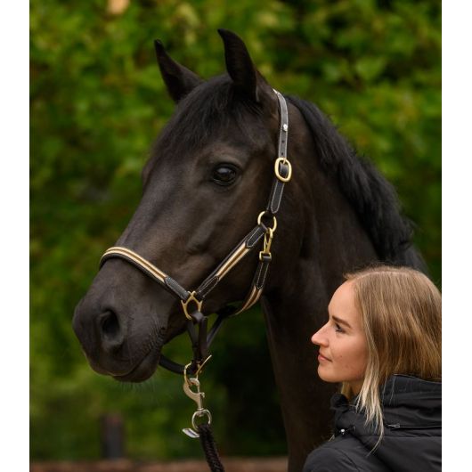 Licol cuir cheval X-Line Oxford - Waldhausen