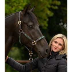 Licol cuir cheval X-Line Oxford - Waldhausen