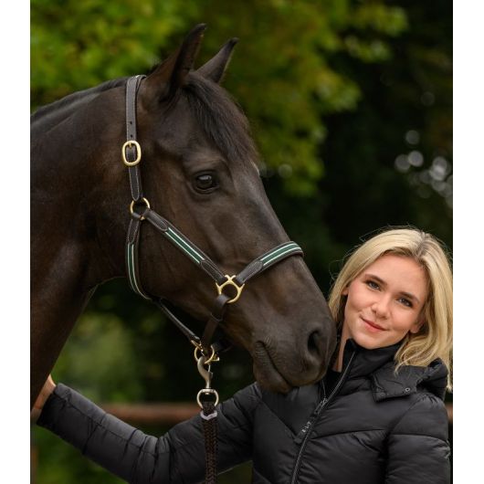 Licol cuir cheval X-Line Oxford - Waldhausen