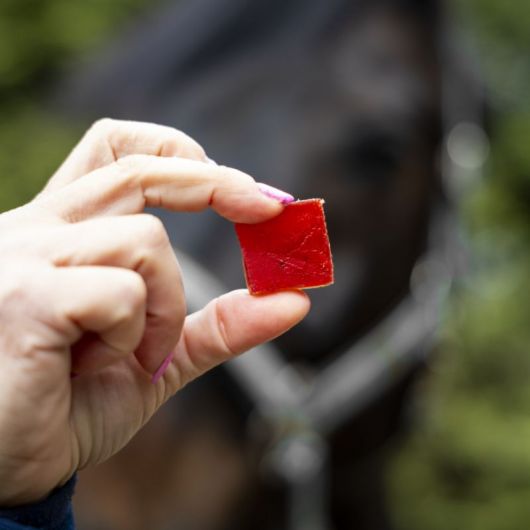 Friandises cheval fruit Jellies fruitées gélifiées cerise et cardamome - Candy Horse