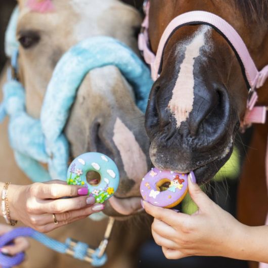 Friandises cheval Donuts au glaçage Rainbow World x2 - Candy Horse