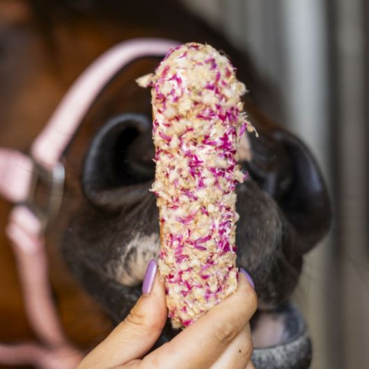Friandises cheval Eclair Globe Amaranth Rainbow World - Candy Horse