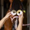 Friandises cheval Donuts fleur de pois papillon et houblon Rainbow World x2 - Candy Horse