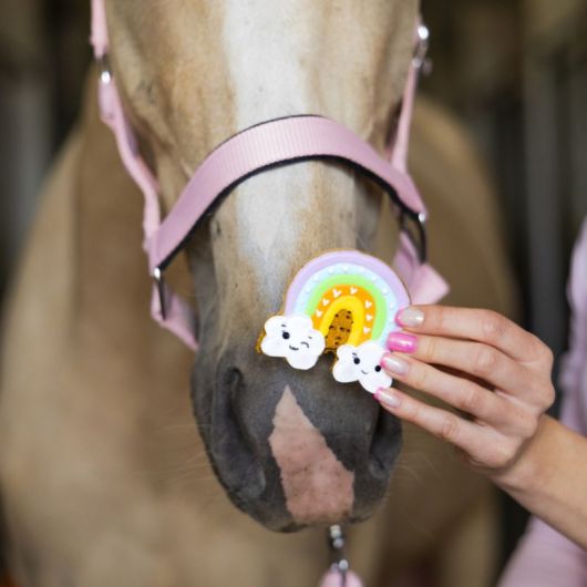 Friandises cheval Biscuits glacés Rainbow World arc-en-ciel - Candy Horse