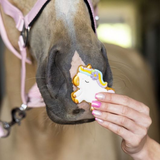 Friandises cheval Biscuits glacés Rainbow World poney - Candy Horse