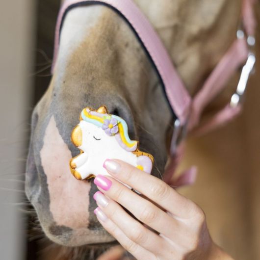 Friandises cheval Biscuits glacés Rainbow World poney - Candy Horse