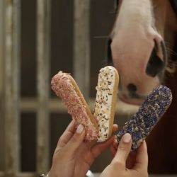 Friandises cheval Éclair avec glaçage et herbes - Candy Horse
